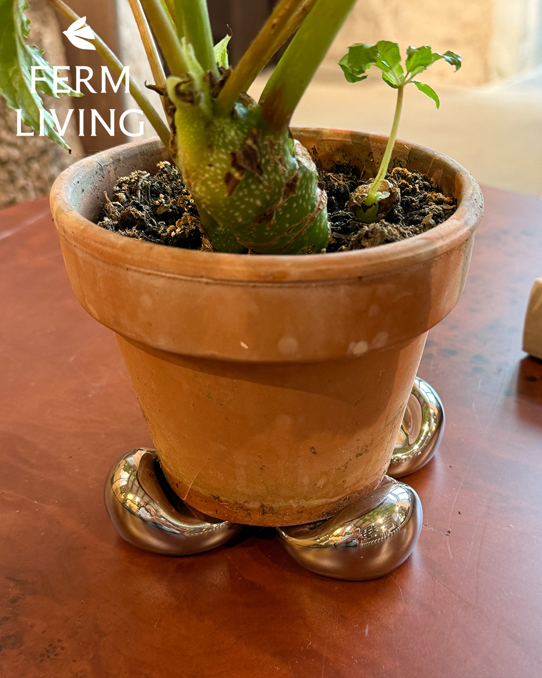 Ferm Livng ファームリビング Nube Planter Feet 4個セット 鉢足